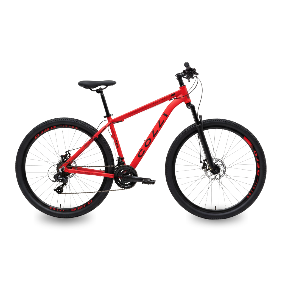 Bicicletas_por (13)