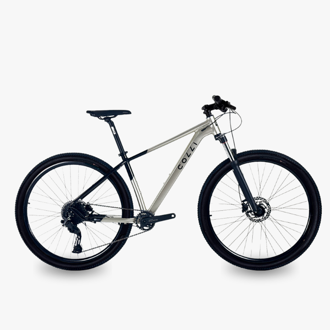 Bicicletas_por (15)